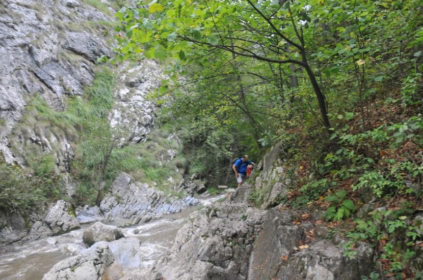  - 2018 MAN CARAIMAN CHEILE RAMETULUI APUSENI