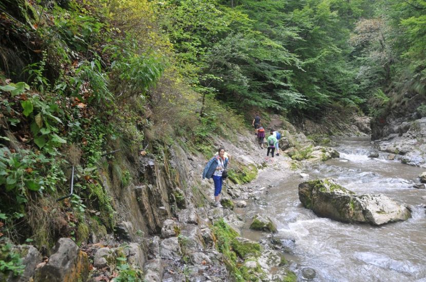  - 2018 MAN CARAIMAN CHEILE RAMETULUI APUSENI