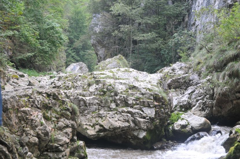  - 2018 MAN CARAIMAN CHEILE RAMETULUI APUSENI
