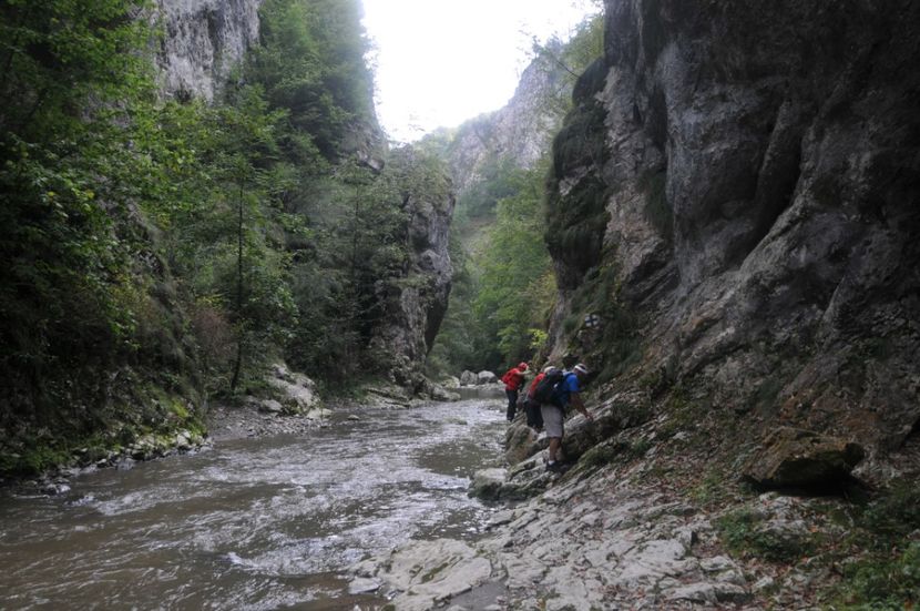  - 2018 MAN CARAIMAN CHEILE RAMETULUI APUSENI