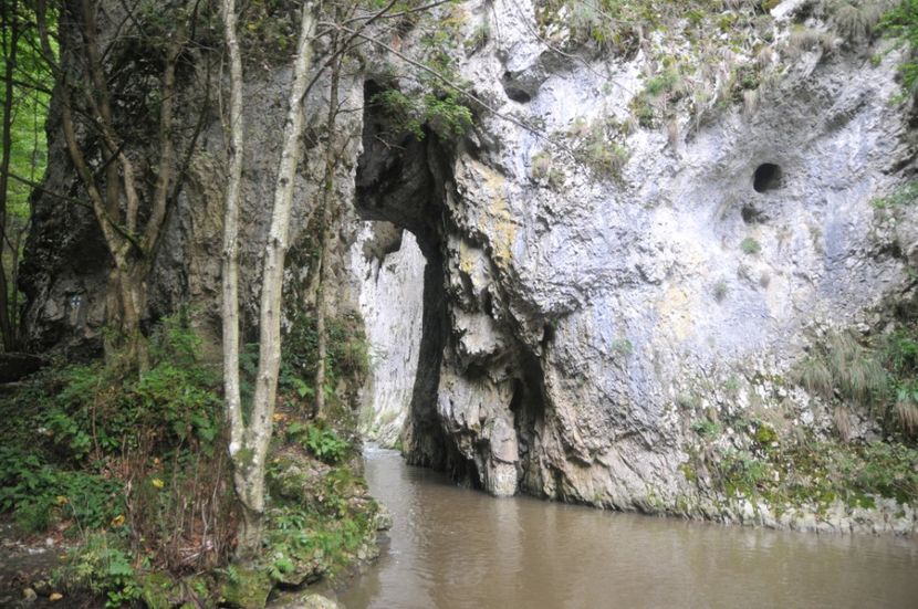  - 2018 MAN CARAIMAN CHEILE RAMETULUI APUSENI