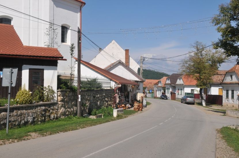  - 2018 MAN CARAIMAN CHEILE RAMETULUI APUSENI