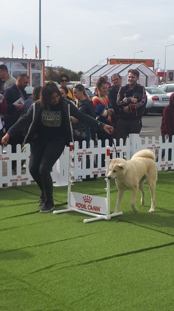 Dog Fest Royal Canin HORNBACH - familia