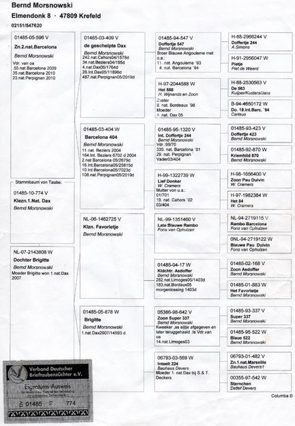 Morsnowski 774-10 - Bernd Morsnowski