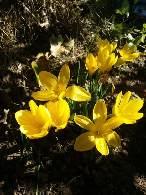  - curtea cu toate cele 2019