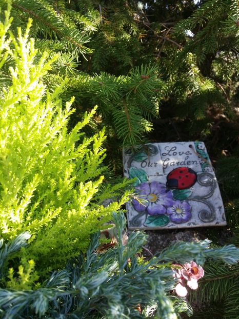  - curtea cu toate cele 2019