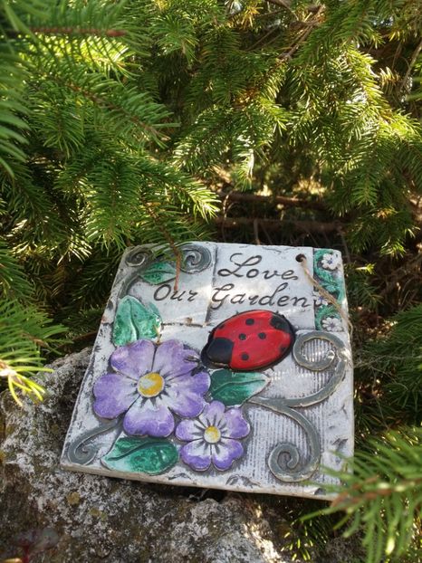  - curtea cu toate cele 2019