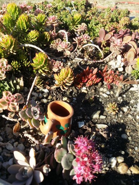  - curtea cu toate cele 2019