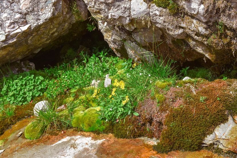  - 13 - Lacul Bolboci - Valea Obârșia Ialomiței - Cascada Obârșia Ialomiței - sept 2019
