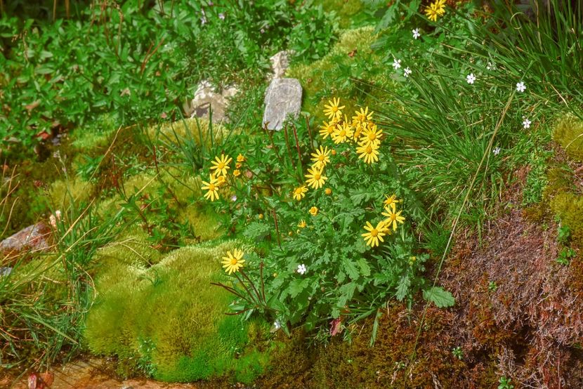  - 13 - Lacul Bolboci - Valea Obârșia Ialomiței - Cascada Obârșia Ialomiței - sept 2019