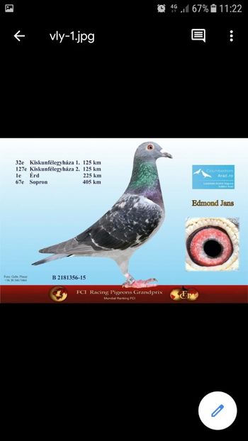 Mama - KAASBOER LINE