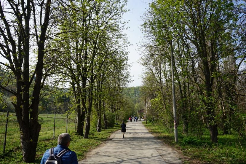  - 2019 06 04 2019 BULGARIA PESTERA DEVETASHKA SI CASCADA KRUSHNA