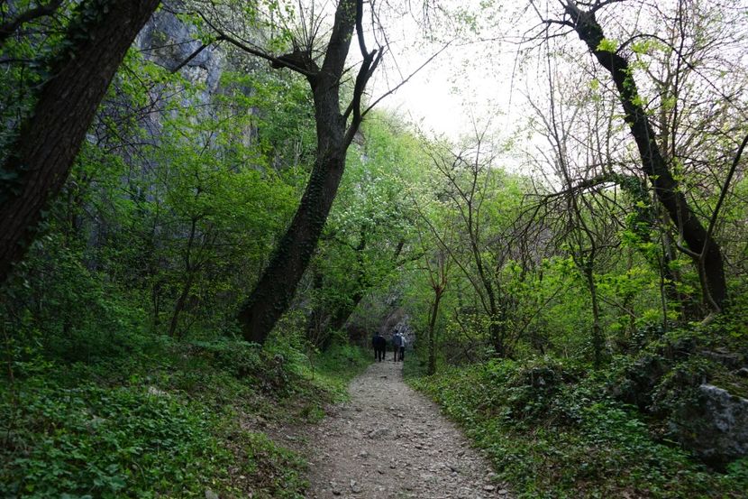  - 2019 06 04 2019 BULGARIA PESTERA DEVETASHKA SI CASCADA KRUSHNA