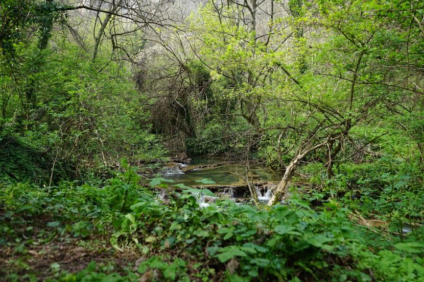  - 2019 06 04 2019 BULGARIA PESTERA DEVETASHKA SI CASCADA KRUSHNA