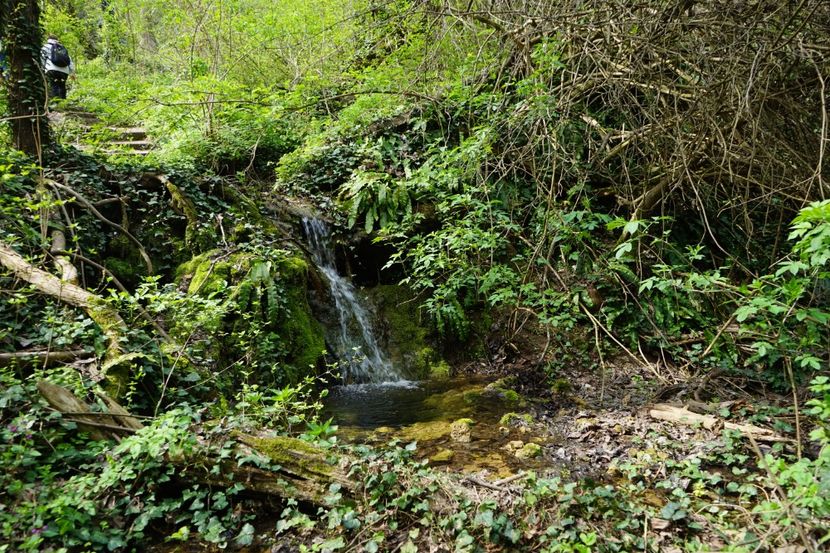  - 2019 06 04 2019 BULGARIA PESTERA DEVETASHKA SI CASCADA KRUSHNA