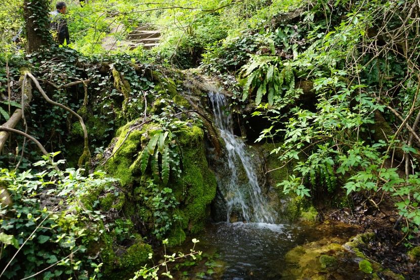  - 2019 06 04 2019 BULGARIA PESTERA DEVETASHKA SI CASCADA KRUSHNA
