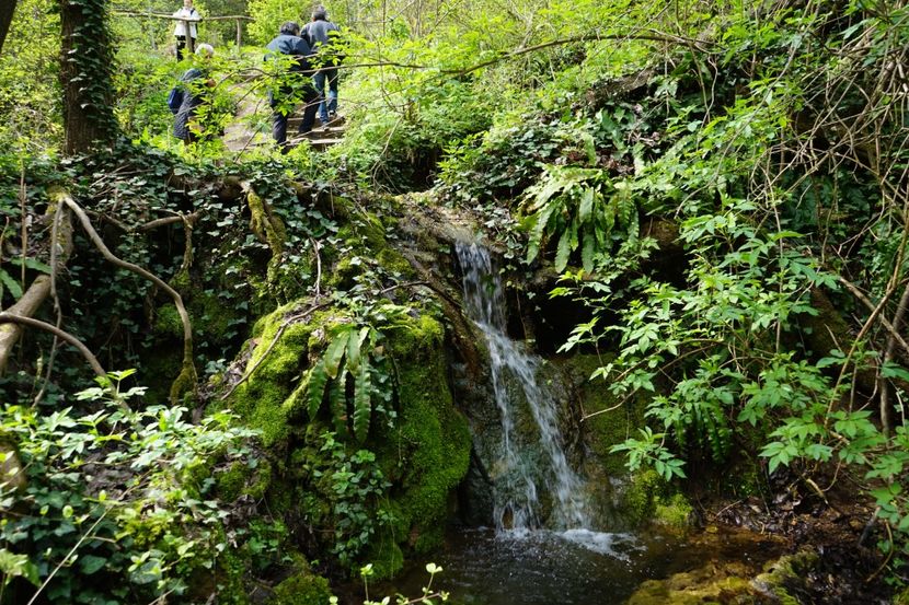  - 2019 06 04 2019 BULGARIA PESTERA DEVETASHKA SI CASCADA KRUSHNA