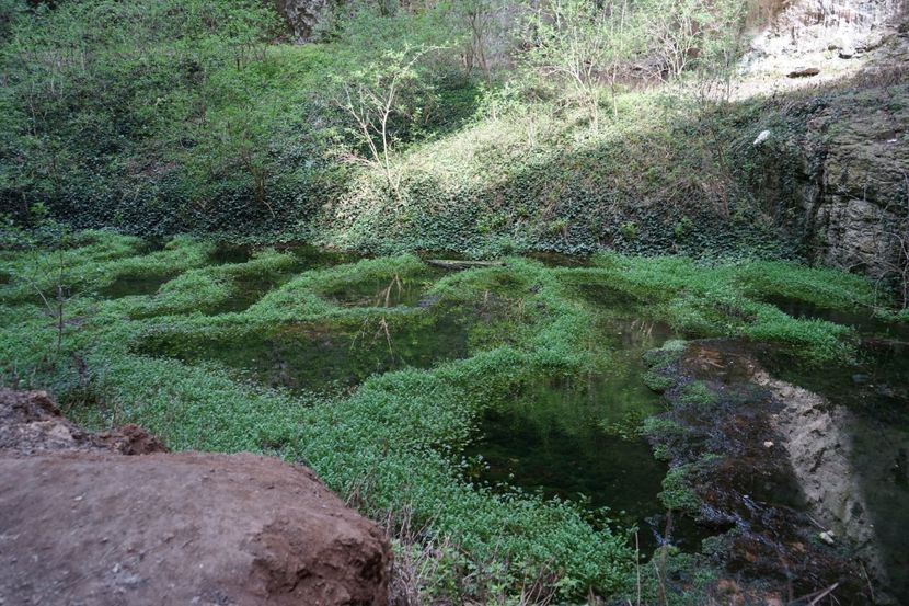 - 2019 06 04 2019 BULGARIA PESTERA DEVETASHKA SI CASCADA KRUSHNA