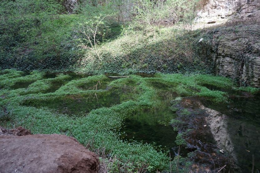  - 2019 06 04 2019 BULGARIA PESTERA DEVETASHKA SI CASCADA KRUSHNA