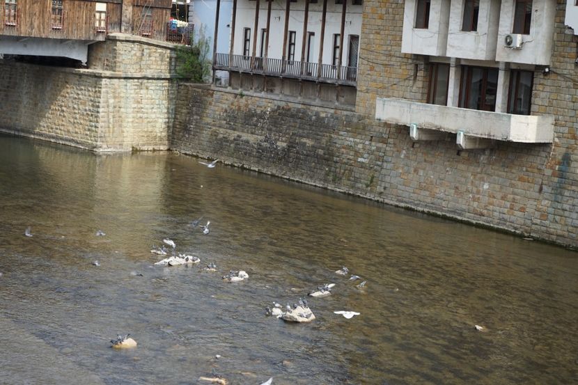  - 2019 06 04 2019 BULGARIA PESTERA DEVETASHKA SI CASCADA KRUSHNA