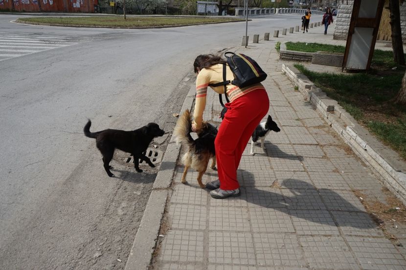  - 2019 06 04 2019 BULGARIA PESTERA DEVETASHKA SI CASCADA KRUSHNA