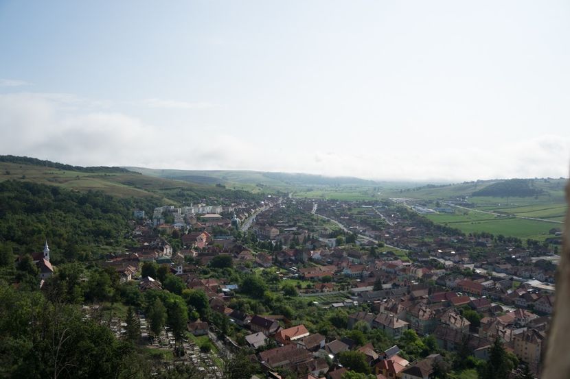 _DSC6999 - PRIMUS LO