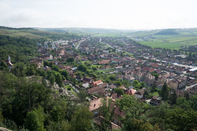 _DSC7001 - PRIMUS LO