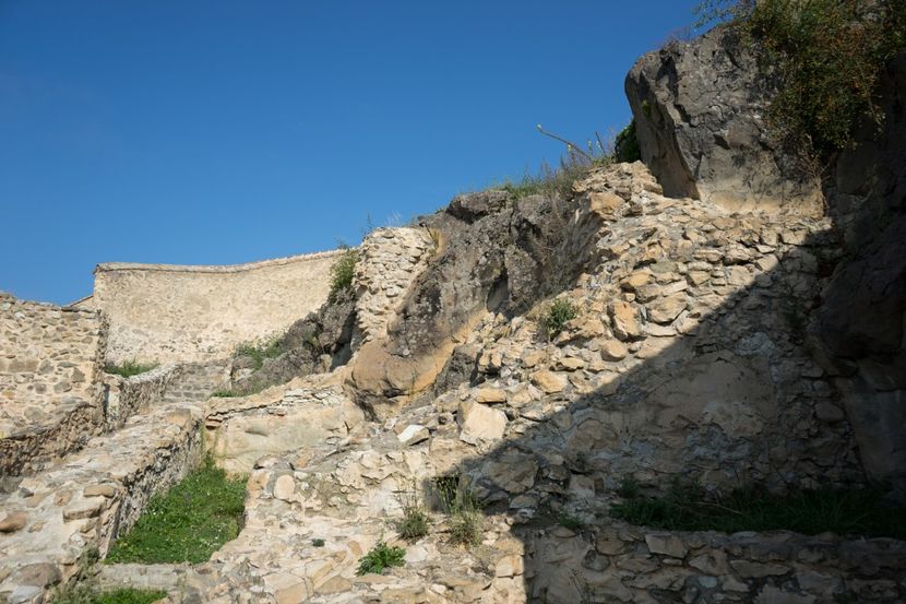 _DSC7004 - PRIMUS LO