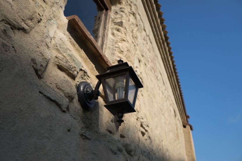 _DSC7010 - PRIMUS LO