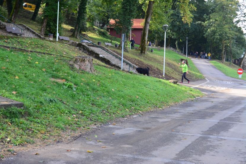  - 2019 28 SEPT 2019 BRASOV