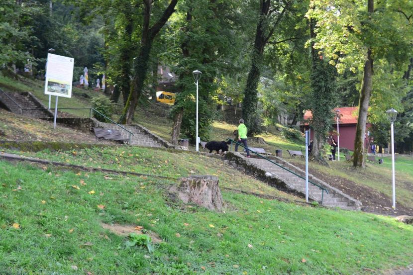  - 2019 28 SEPT 2019 BRASOV