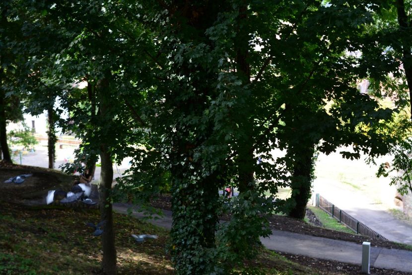  - 2019 28 SEPT 2019 BRASOV