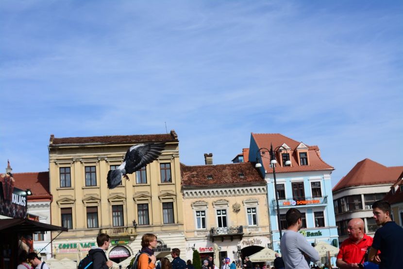 - 2019 28 SEPT 2019 BRASOV
