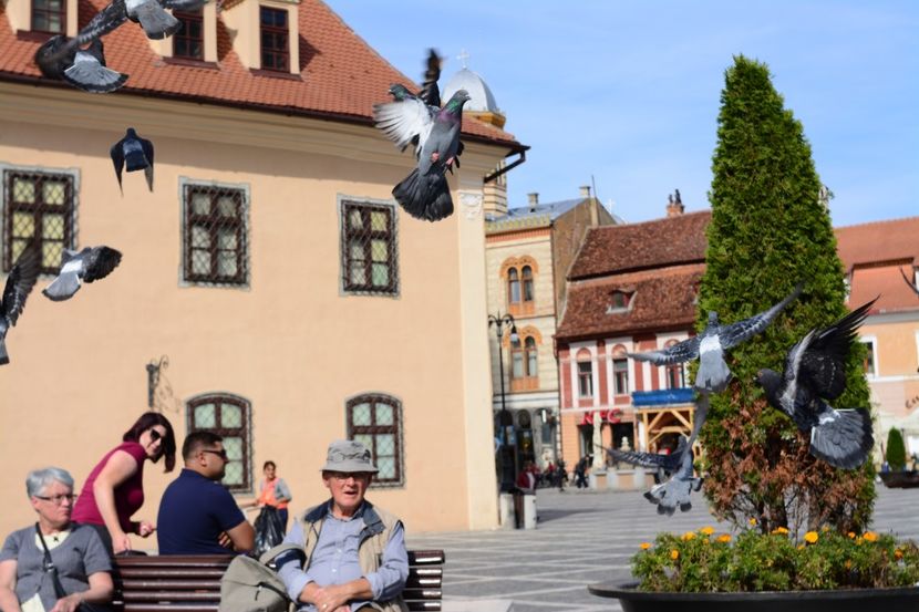  - 2019 28 SEPT 2019 BRASOV