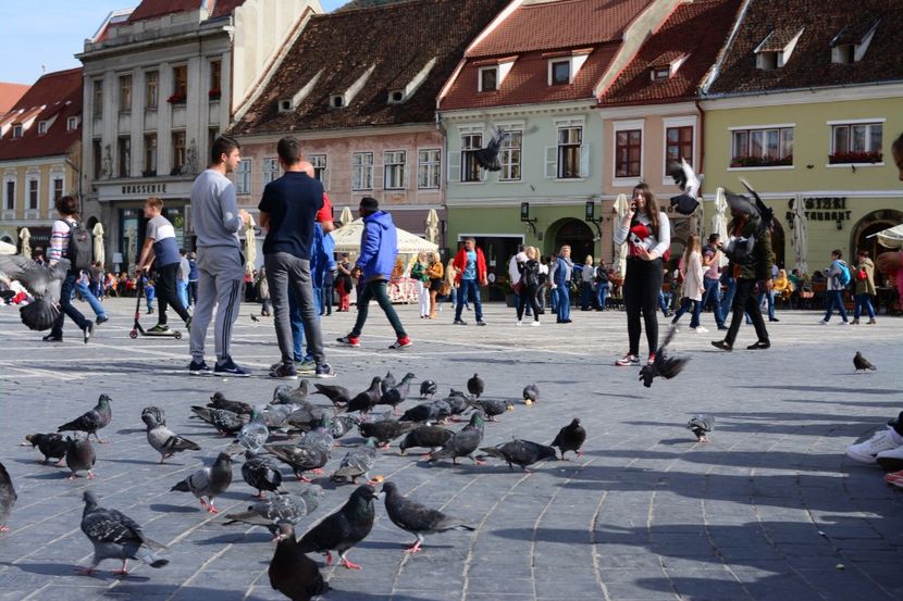  - 2019 28 SEPT 2019 BRASOV