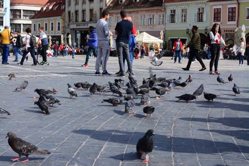  - 2019 28 SEPT 2019 BRASOV