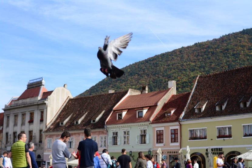  - 2019 28 SEPT 2019 BRASOV