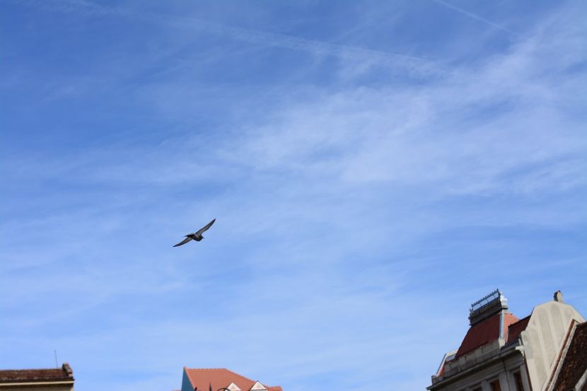  - 2019 28 SEPT 2019 BRASOV