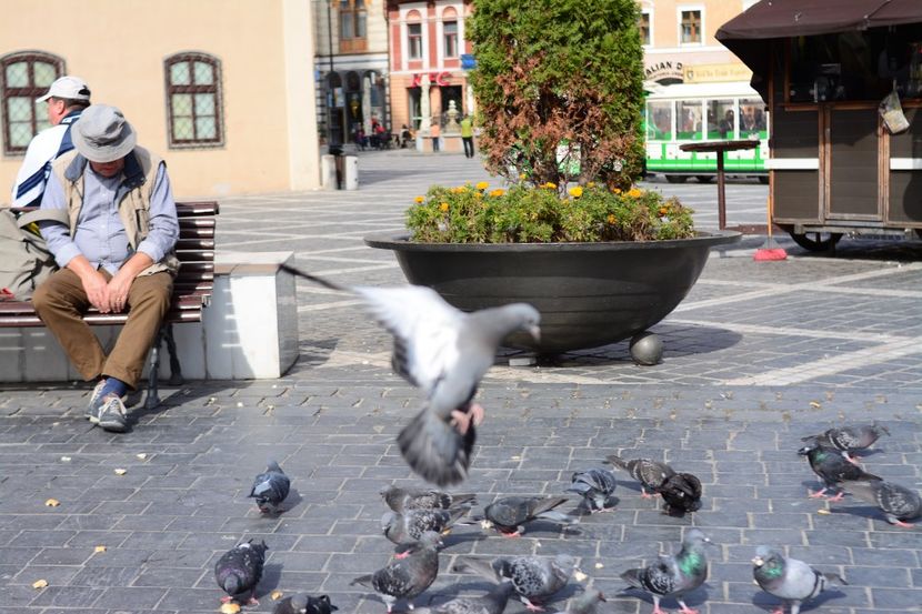  - 2019 28 SEPT 2019 BRASOV