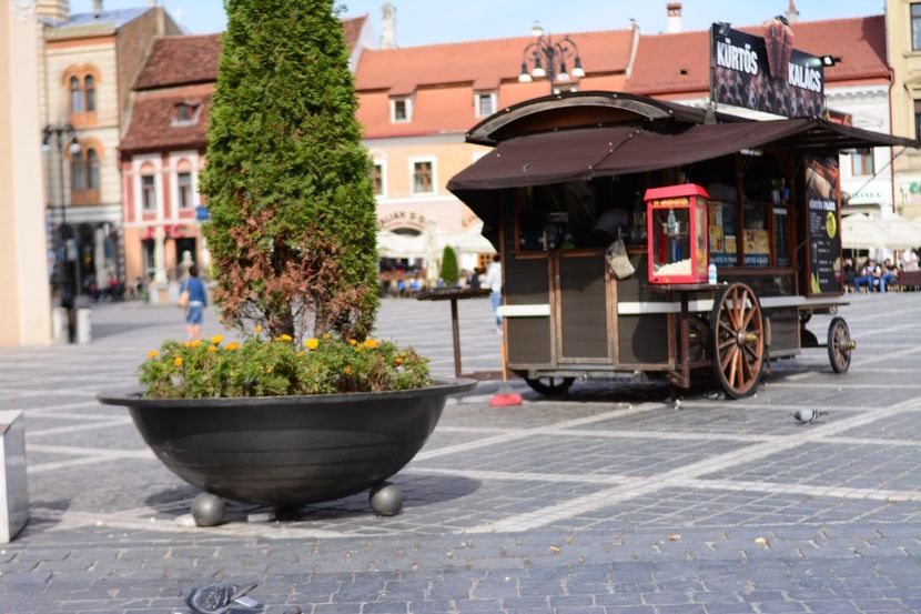  - 2019 28 SEPT 2019 BRASOV