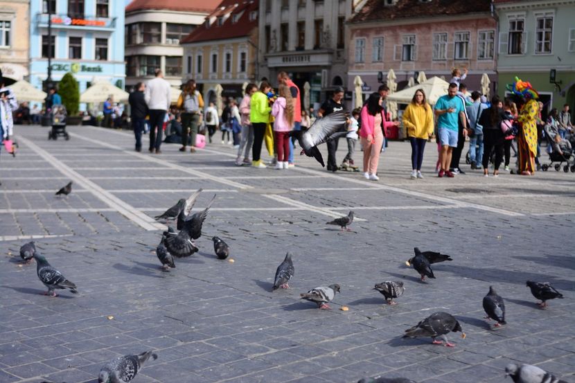  - 2019 28 SEPT 2019 BRASOV