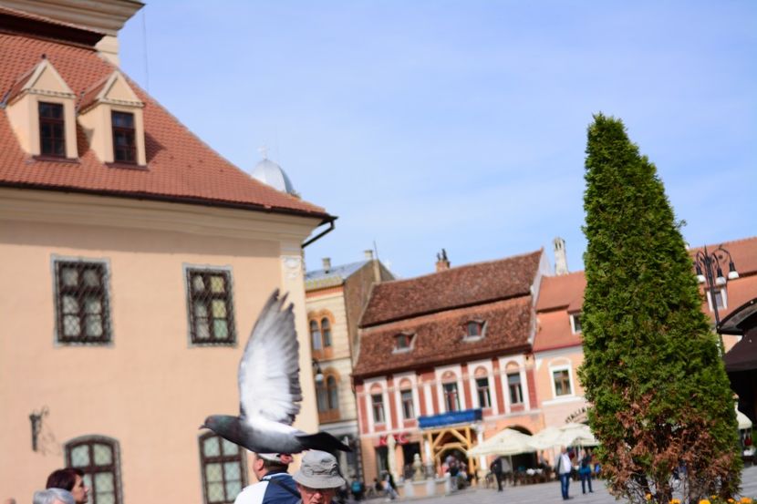  - 2019 28 SEPT 2019 BRASOV