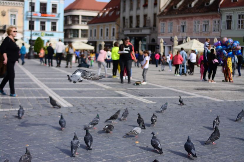  - 2019 28 SEPT 2019 BRASOV