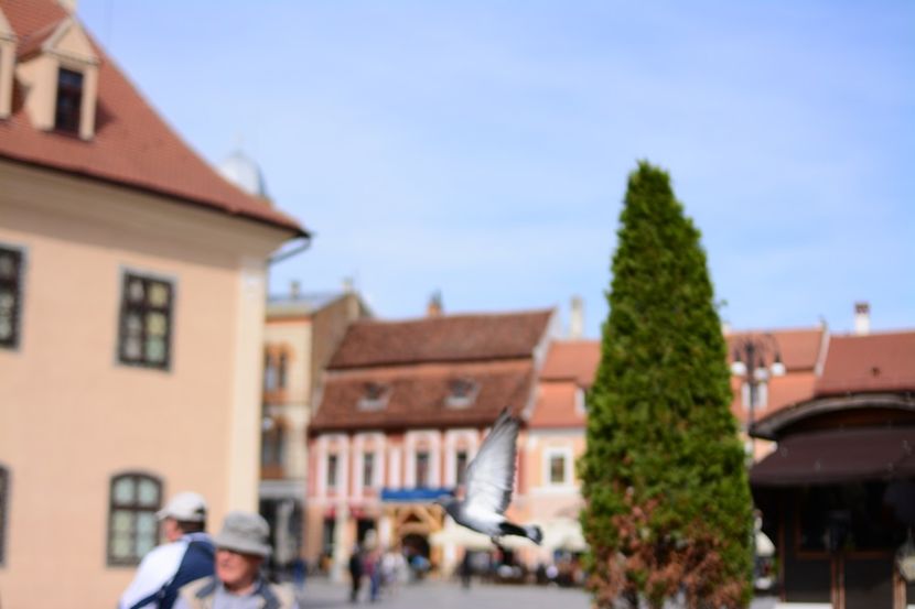  - 2019 28 SEPT 2019 BRASOV