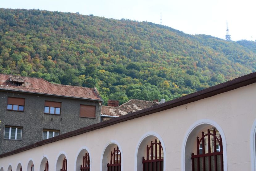  - 2019 28 SEPT 2019 BRASOV