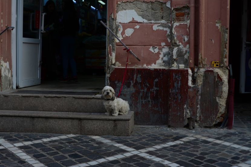 - 2019 28 SEPT 2019 BRASOV