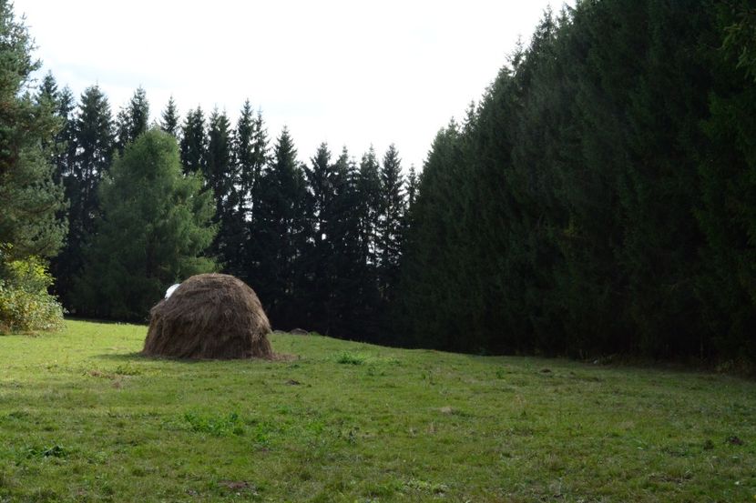  - 2019 28 SEPT 2019 BRASOV