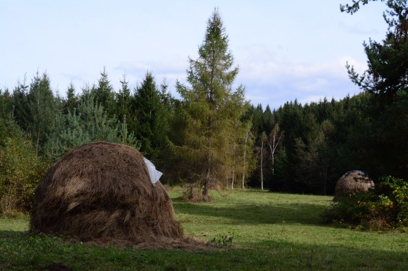  - 2019 28 SEPT 2019 BRASOV