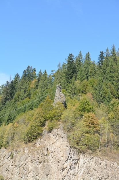  - 2018 21 27 septembrie CO 2018 CRESCATORIA DE CERBI DARMOXA