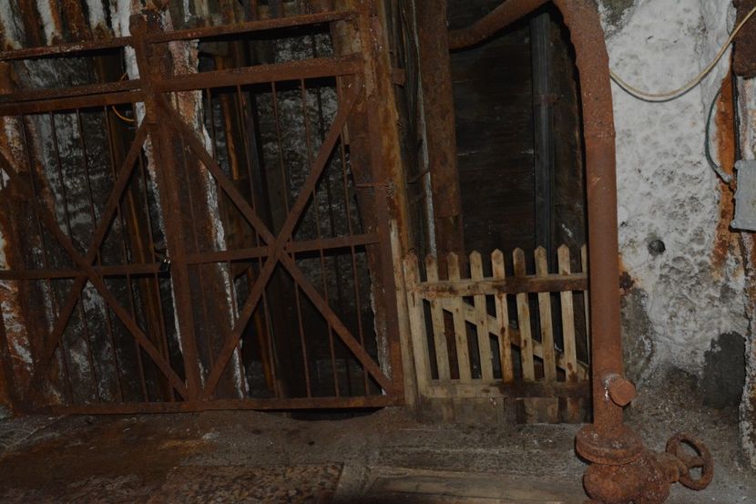  - 2018 21 27 septembrie CO 2018 CRESCATORIA DE CERBI DARMOXA